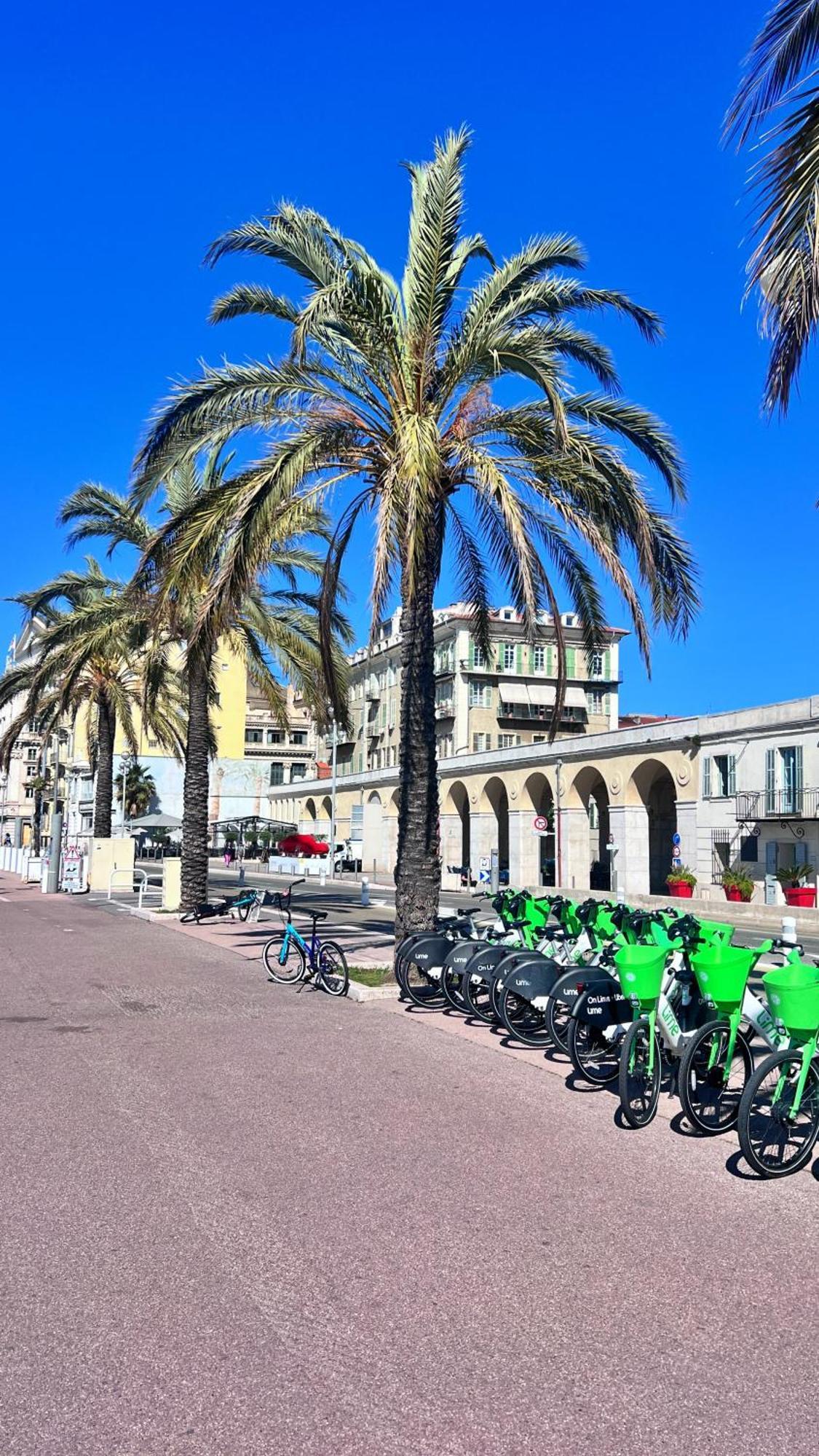 L'avenir Du Ray Nizza